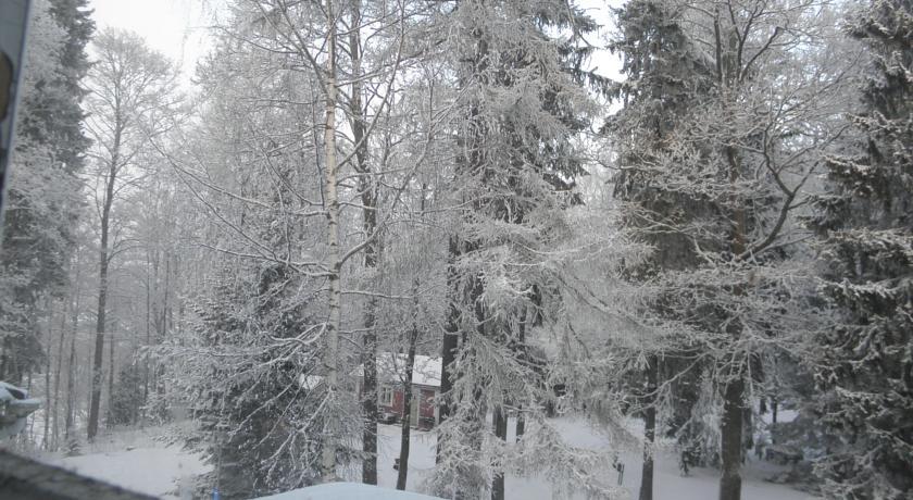Neitsytniemen Kartano Acomodação com café da manhã Imatra Quarto foto